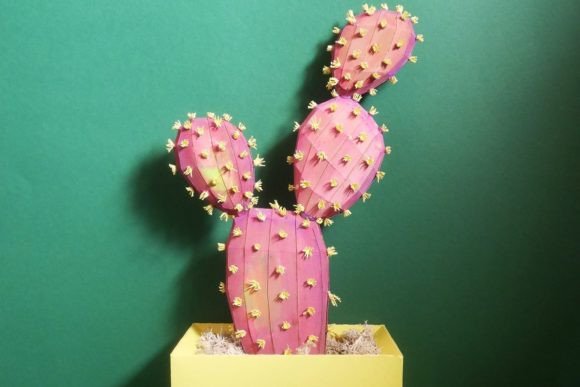 Prickly Pear Cactus: Desert DIY Decor